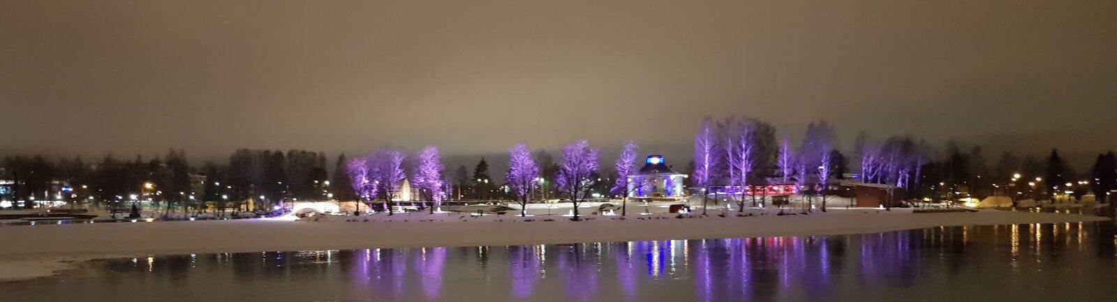 Joen ranta talvella. Vastarannalla lumisia puita ja katuvaloja.