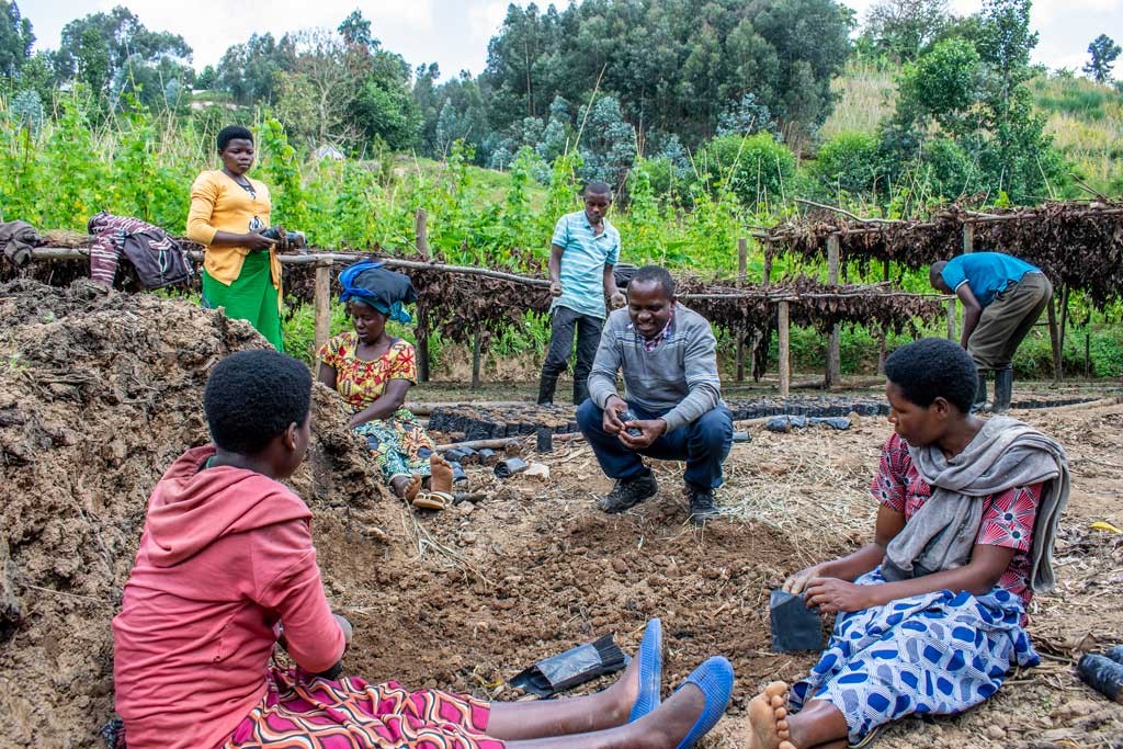 Miehiä ja naisia vuoristopellolla Ruandassa.