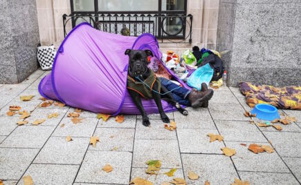 Kuva asunnottoman ihmisen teltasta, jonka edessä on koira.