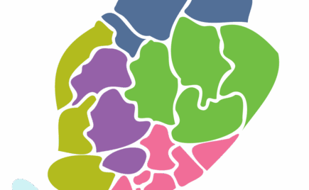 Kuvituskuva Suomen kartan alaosasta, erivärisinä paloina