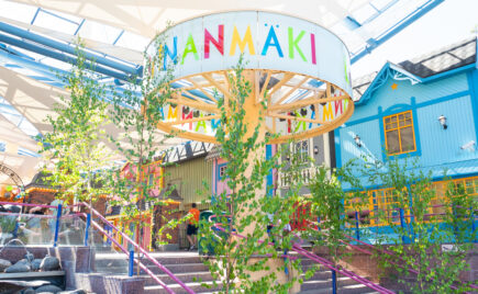 Linnanmäen sisäänkäynti ja juhannuskoivut